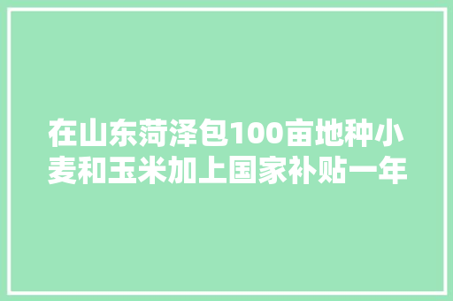 在山东菏泽包100亩地种小麦和玉米加上国家补贴一年能挣多少钱，荷泽水果玉米种植基地。 畜牧养殖