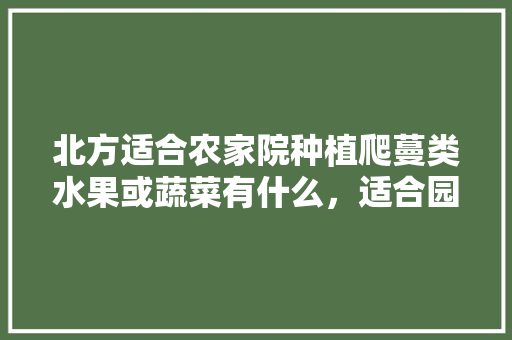 北方适合农家院种植爬蔓类水果或蔬菜有什么，适合园子种植的水果有哪些。 北方适合农家院种植爬蔓类水果或蔬菜有什么，适合园子种植的水果有哪些。 蔬菜种植