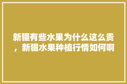 新疆有些水果为什么这么贵，新疆水果种植行情如何啊。 水果种植