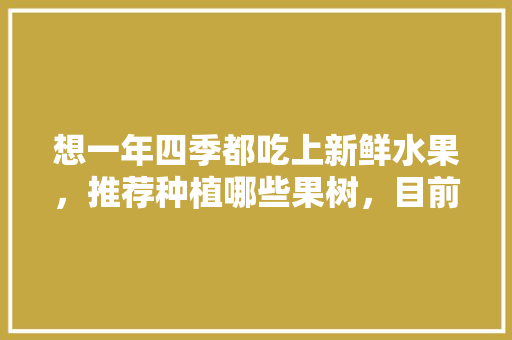 想一年四季都吃上新鲜水果，推荐种植哪些果树，目前新鲜水果种植现状如何。 土壤施肥