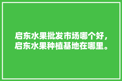 启东水果批发市场哪个好，启东水果种植基地在哪里。 水果种植