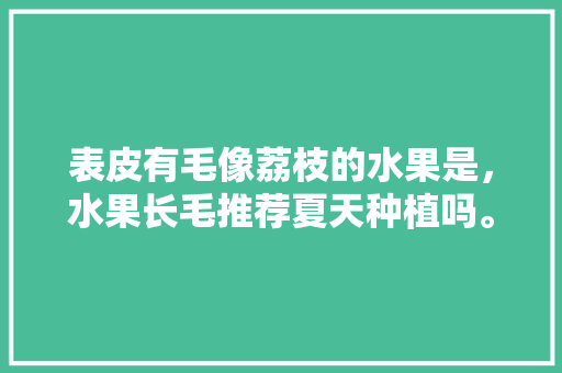 表皮有毛像荔枝的水果是，水果长毛推荐夏天种植吗。 畜牧养殖