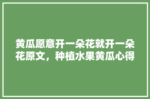 黄瓜愿意开一朵花就开一朵花原文，种植水果黄瓜心得体会。 土壤施肥