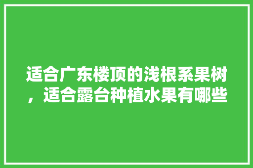 适合广东楼顶的浅根系果树，适合露台种植水果有哪些。 土壤施肥