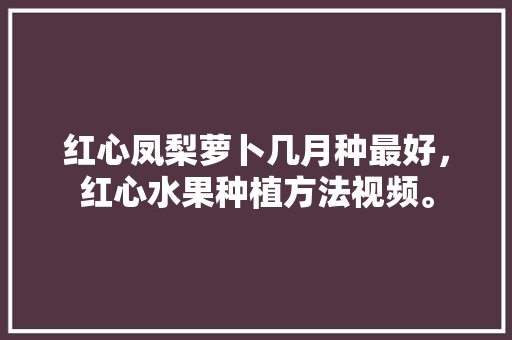 红心凤梨萝卜几月种最好，红心水果种植方法视频。 土壤施肥