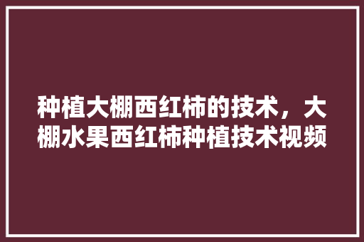 种植大棚西红柿的技术，大棚水果西红柿种植技术视频。 畜牧养殖