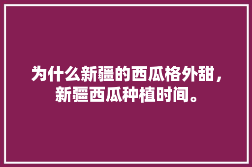 为什么新疆的西瓜格外甜，新疆西瓜种植时间。 水果种植