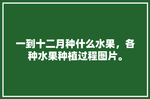 一到十二月种什么水果，各种水果种植过程图片。 土壤施肥