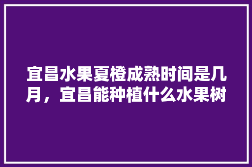 宜昌水果夏橙成熟时间是几月，宜昌能种植什么水果树。 水果种植