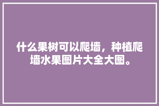 什么果树可以爬墙，种植爬墙水果图片大全大图。 畜牧养殖