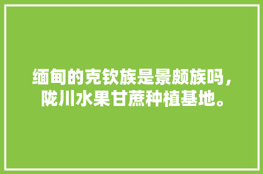 缅甸的克钦族是景颇族吗，陇川水果甘蔗种植基地。 缅甸的克钦族是景颇族吗，陇川水果甘蔗种植基地。 畜牧养殖