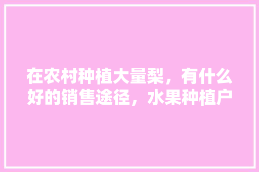 在农村种植大量梨，有什么好的销售途径，水果种植户专业销售好做吗。 畜牧养殖