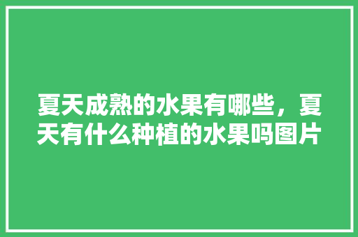 夏天成熟的水果有哪些，夏天有什么种植的水果吗图片。 夏天成熟的水果有哪些，夏天有什么种植的水果吗图片。 水果种植