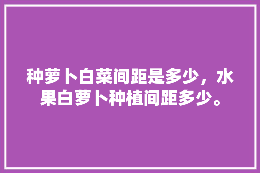 种萝卜白菜间距是多少，水果白萝卜种植间距多少。 畜牧养殖