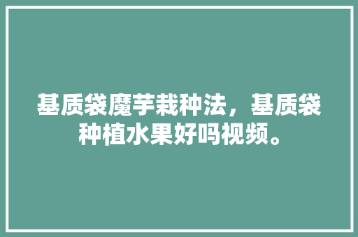 基质袋魔芋栽种法，基质袋种植水果好吗视频。 畜牧养殖