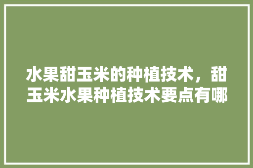 水果甜玉米的种植技术，甜玉米水果种植技术要点有哪些。 土壤施肥