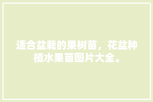 适合盆栽的果树苗，花盆种植水果苗图片大全。 畜牧养殖