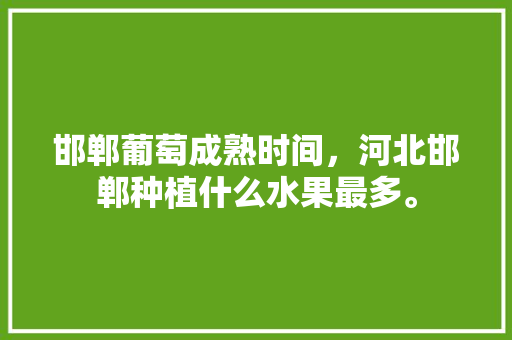 邯郸葡萄成熟时间，河北邯郸种植什么水果最多。 邯郸葡萄成熟时间，河北邯郸种植什么水果最多。 蔬菜种植