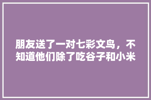 朋友送了一对七彩文鸟，不知道他们除了吃谷子和小米以外，还吃些什么？吃蔬菜和水果吗，石谷子种植什么水果最好。 水果种植