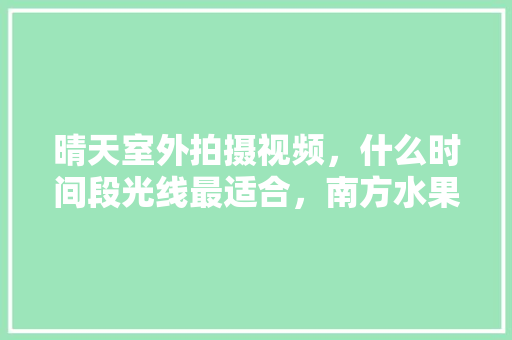 晴天室外拍摄视频，什么时间段光线最适合，南方水果种植大全。 家禽养殖