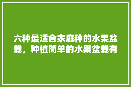 六种最适合家庭种的水果盆栽，种植简单的水果盆栽有哪些。 畜牧养殖