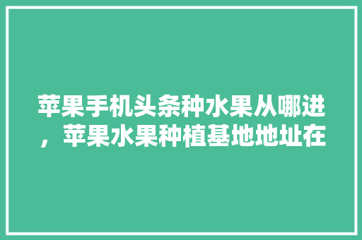 苹果手机头条种水果从哪进，苹果水果种植基地地址在哪里。 家禽养殖