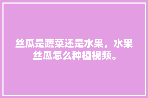 丝瓜是蔬菜还是水果，水果丝瓜怎么种植视频。 家禽养殖