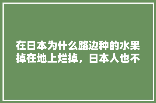 在日本为什么路边种的水果掉在地上烂掉，日本人也不会摘，日本水果的种植方法有哪些。 土壤施肥