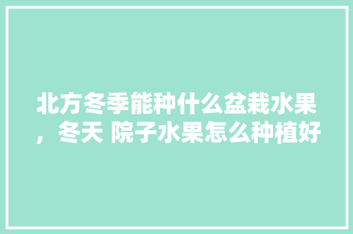 北方冬季能种什么盆栽水果，冬天 院子水果怎么种植好。 畜牧养殖