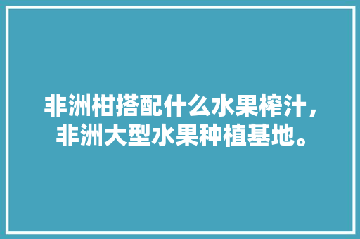 非洲柑搭配什么水果榨汁，非洲大型水果种植基地。 土壤施肥