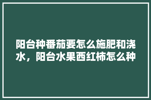 阳台种番茄要怎么施肥和浇水，阳台水果西红柿怎么种植的。 水果种植