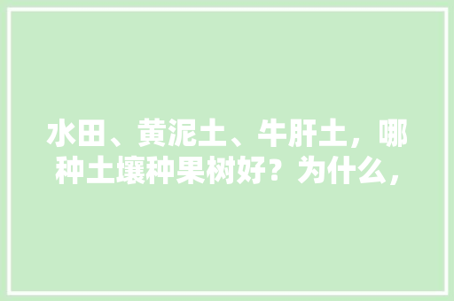 水田、黄泥土、牛肝土，哪种土壤种果树好？为什么，种植小水果土壤要求。 水果种植