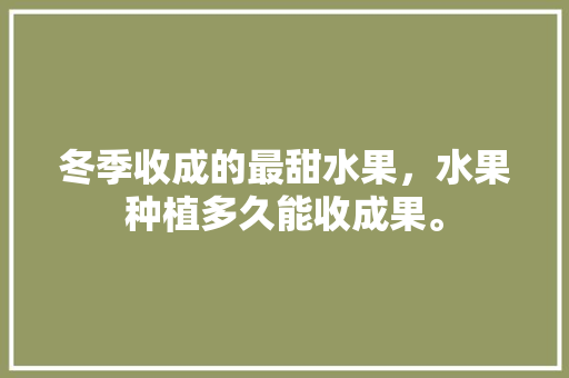 冬季收成的最甜水果，水果种植多久能收成果。 水果种植