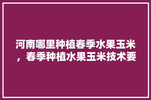 河南哪里种植春季水果玉米，春季种植水果玉米技术要点。 家禽养殖