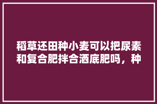 稻草还田种小麦可以把尿素和复合肥拌合洒底肥吗，种植水果放稻草做基肥可以吗。 土壤施肥