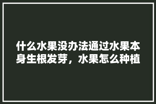 什么水果没办法通过水果本身生根发芽，水果怎么种植不发芽的视频。 水果种植