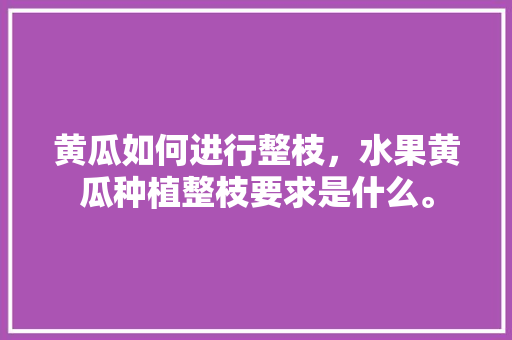 黄瓜如何进行整枝，水果黄瓜种植整枝要求是什么。 水果种植