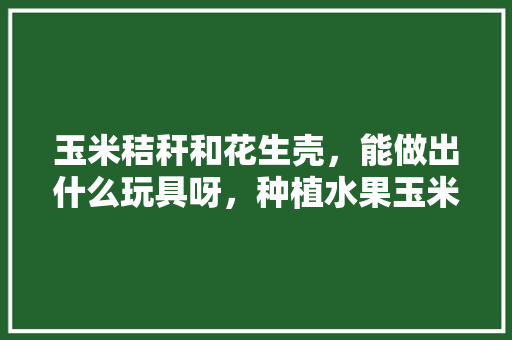 玉米秸秆和花生壳，能做出什么玩具呀，种植水果玉米玩具图片大全。 畜牧养殖