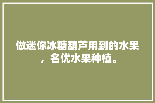 做迷你冰糖葫芦用到的水果，名优水果种植。 畜牧养殖