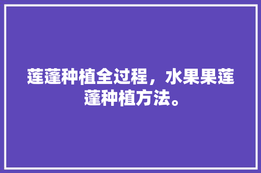 莲蓬种植全过程，水果果莲蓬种植方法。 家禽养殖