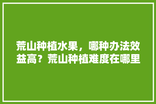 荒山种植水果，哪种办法效益高？荒山种植难度在哪里，水果种植体验区案例。 荒山种植水果，哪种办法效益高？荒山种植难度在哪里，水果种植体验区案例。 土壤施肥