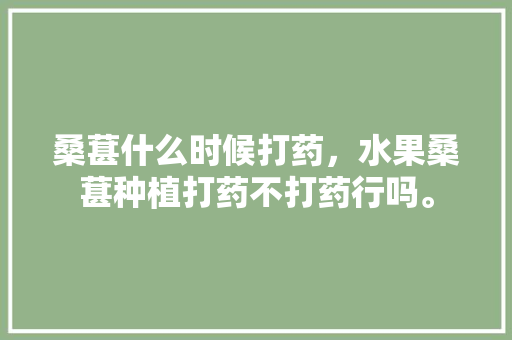 桑葚什么时候打药，水果桑葚种植打药不打药行吗。 土壤施肥