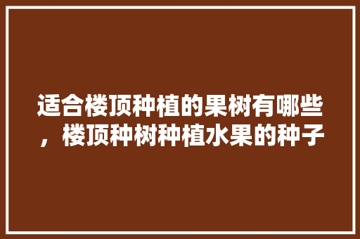 适合楼顶种植的果树有哪些，楼顶种树种植水果的种子是什么。 土壤施肥