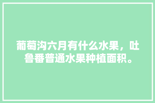 葡萄沟六月有什么水果，吐鲁番普通水果种植面积。 土壤施肥