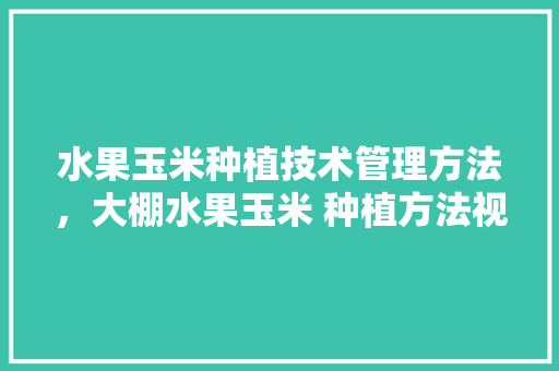 水果玉米种植技术管理方法，大棚水果玉米 种植方法视频。 家禽养殖