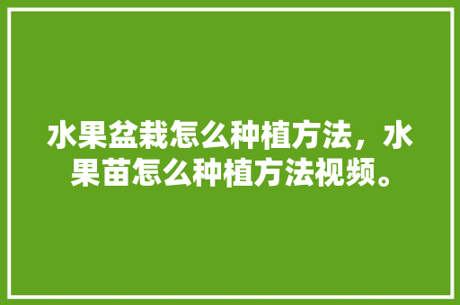 水果盆栽怎么种植方法，水果苗怎么种植方法视频。 水果种植