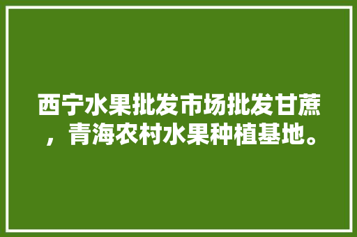 西宁水果批发市场批发甘蔗，青海农村水果种植基地。 家禽养殖