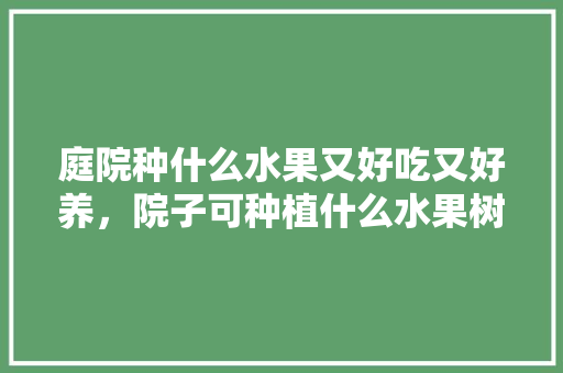 庭院种什么水果又好吃又好养，院子可种植什么水果树。 畜牧养殖