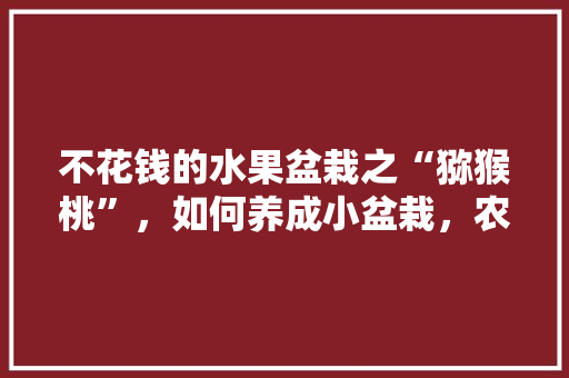 不花钱的水果盆栽之“猕猴桃”，如何养成小盆栽，农村种植水果盆景图片。 家禽养殖