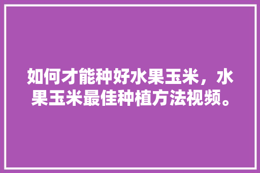 如何才能种好水果玉米，水果玉米最佳种植方法视频。 家禽养殖